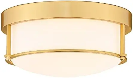 

Mount Lighting Fixture, 12inch 2-Light Metal Ceiling Light Fixtures, Oil Rubbed Bronze Finish with Seeded Glass, 4FTJ22-F ORB La