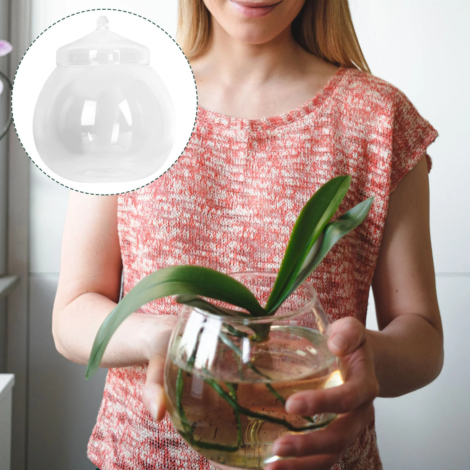 

Микро экологический ландшафт Бутылка декоративная ваза Microlandscape контейнер Сделай Сам стеклянная настольная простые суккулентные растения