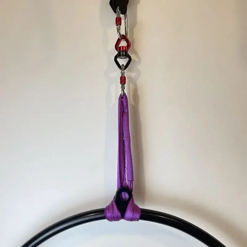 Sangle dɾxtension yoga a Steuerportée ULdeangay pour chrysanthème санглевая тарелка домашняя