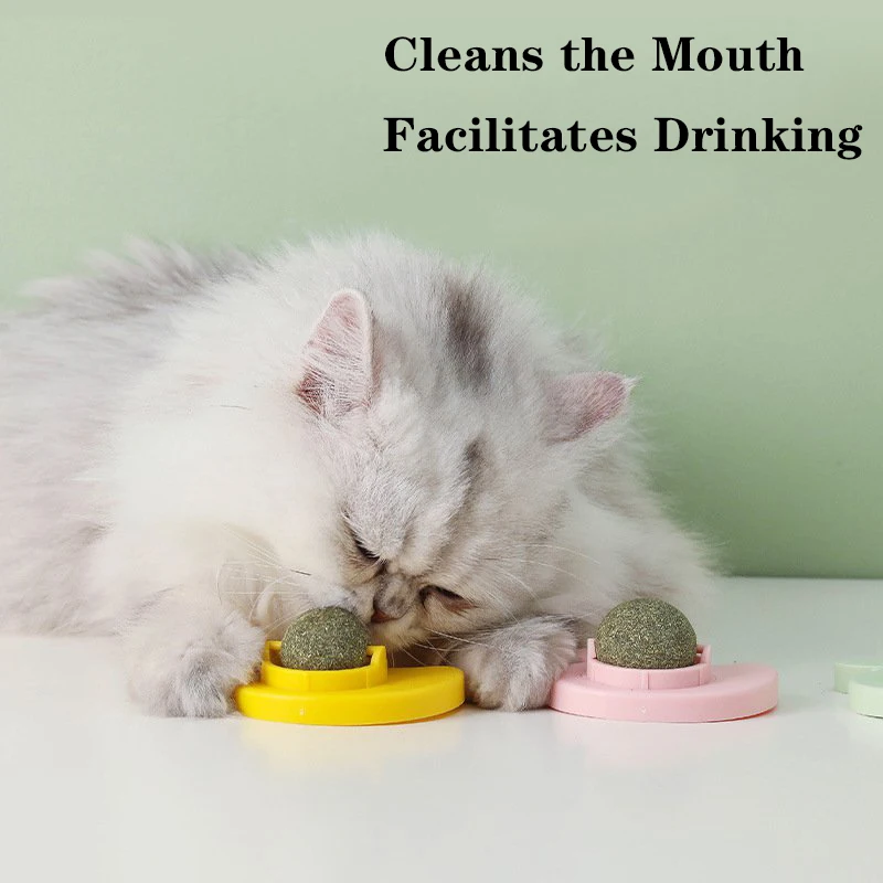 Cats Spinning Mint Pet Energy Ball Gatos Snack Foods On The Wall For Cat Accessories Supplies