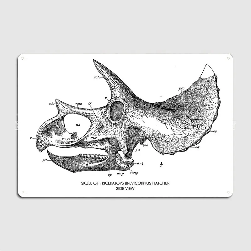 

Triceratops Brevicornus, плакат, металлическая табличка, классические пластины, оловянные плакаты, знаки