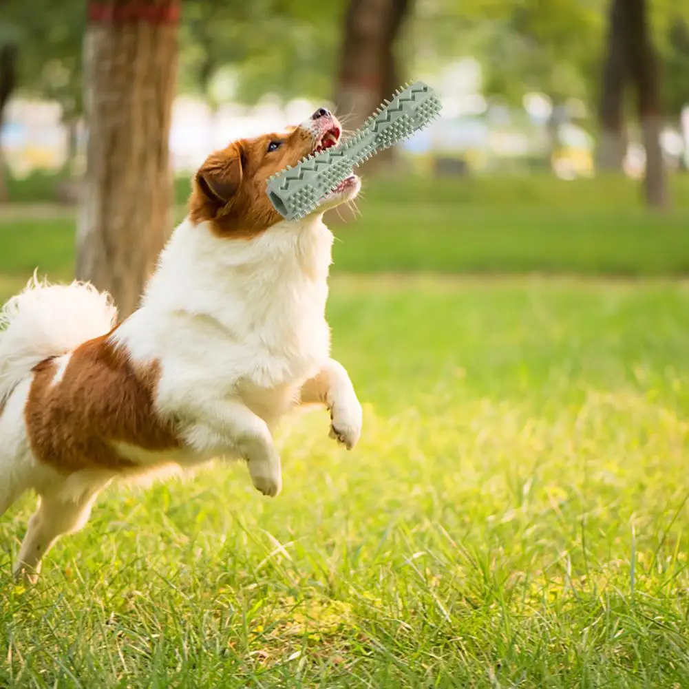 Жевательная игрушка для собак Pet Wear-Resistant Toothbrush Cleaning Supplies Bite-Resistant Brushing Stick Training Interactive Accessories