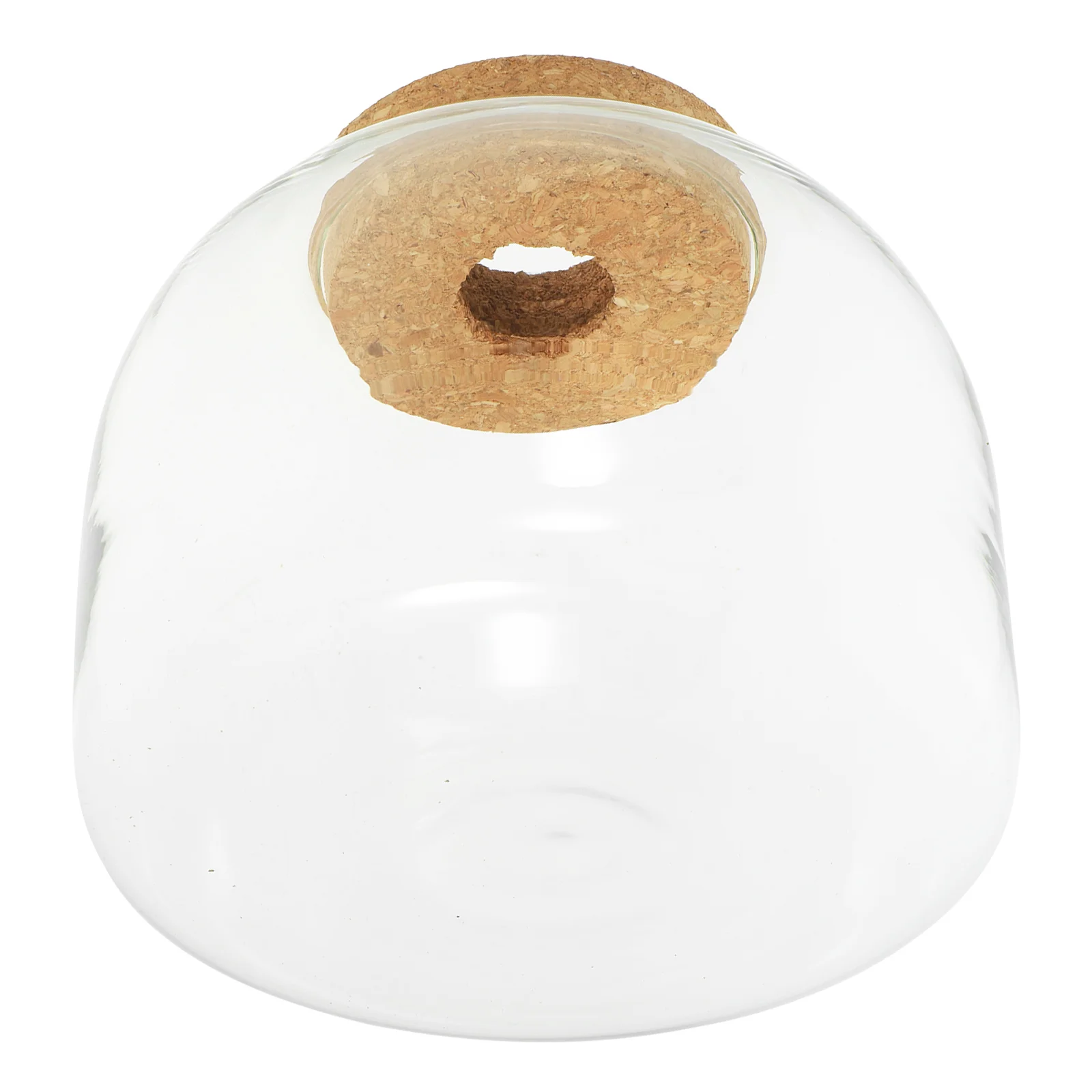 

Fish Tank Moss Terrarium Micro Landscape Ecosystem Container Decorative Pots