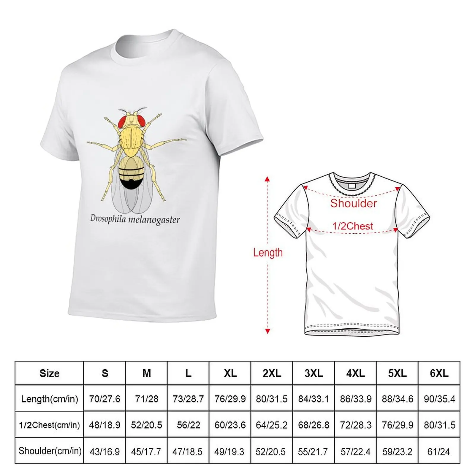 Фото Футболка Drosophila melanogaster из прочной ткани №2