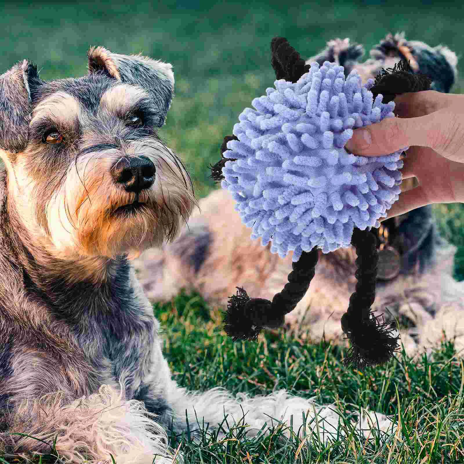 

Dog Plaything Tug Toy Dog Squeaky Toy Tug Rope Toy Interactive Dog Plaything