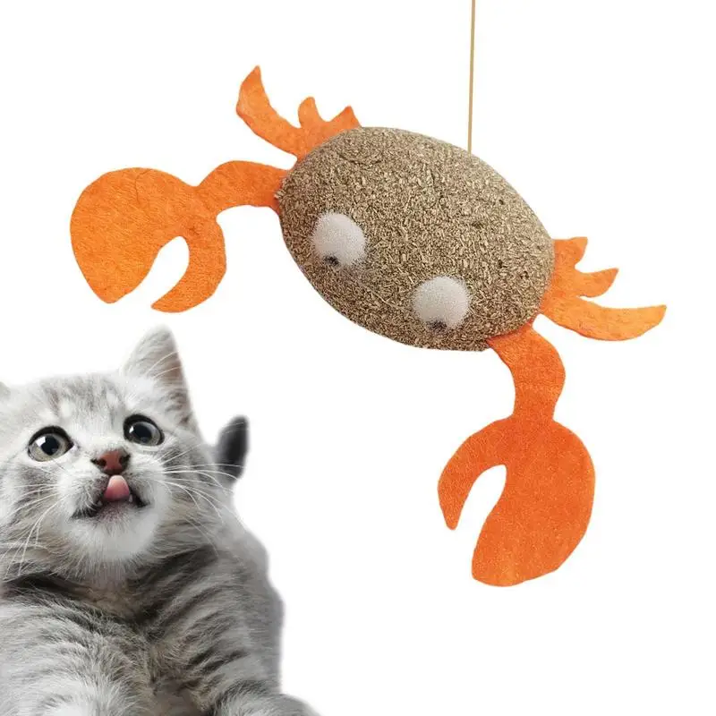 

Catnip Toys Kitten Supplies Cartoons Edible Catnip Ball Safety Healthy Cat Mint Cats Molar Teeth Clean Teeth Game Pet Toy Catnip
