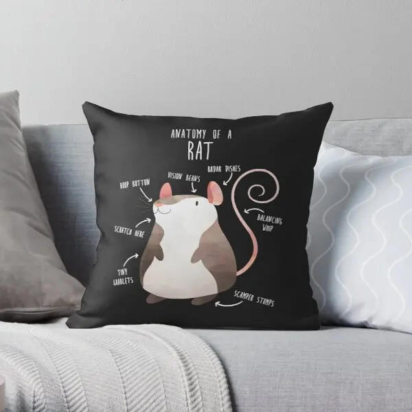 

Anatomy Of A Rat Printing Throw Pillow Cover Hotel Case Waist Decor Bed Fashion Decorative Office Soft Sofa Pillows not include