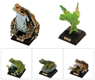 Японская натуральная масштабная модель Gacha трехмерная лягушка жаба имитация