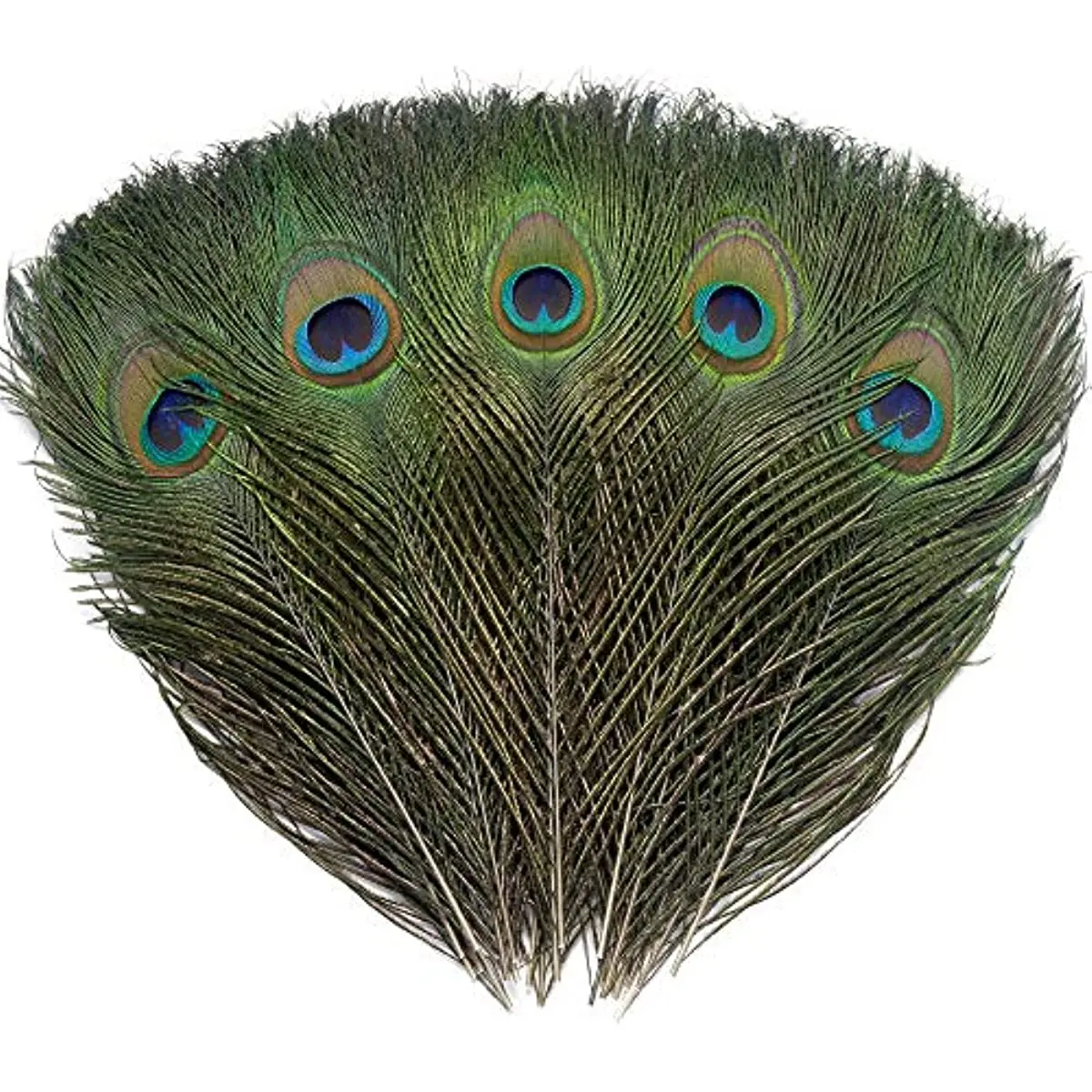 

Natural Peacock Eye Feathers 10-12 Inches Decorative Feather Crafts Wedding Decoration Clothing Accessories