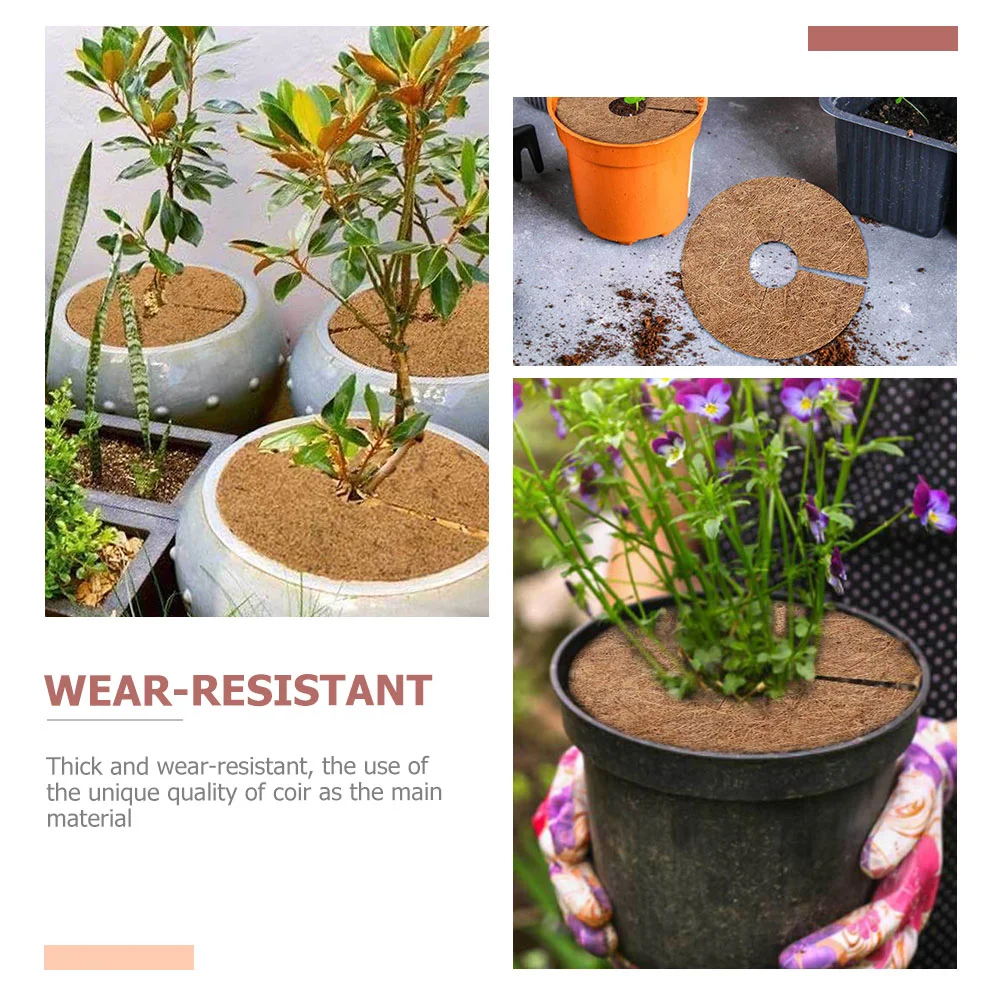 6 шт. защитные кольца для растений