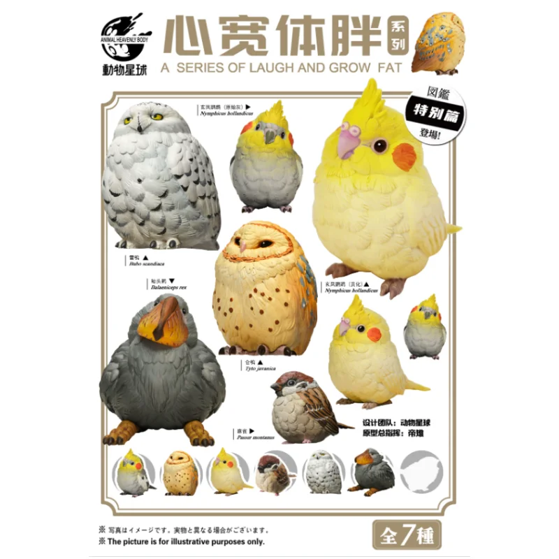 

New Animal Planet Wide Heart Bird Gashapon Toy Series Sparrow Snowy Owl Parrot Gentoo Model for Kids Gifts