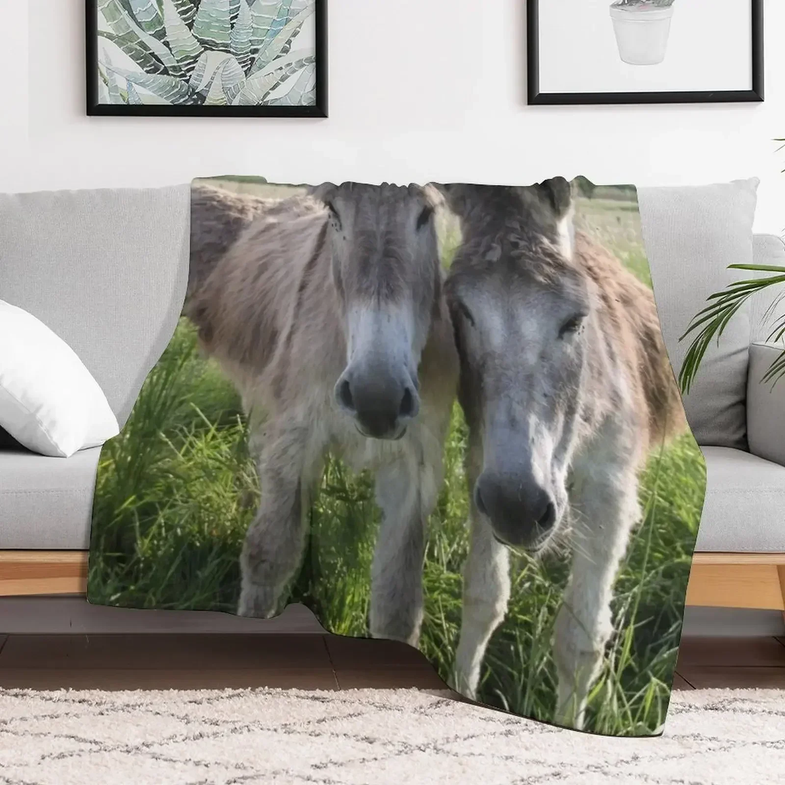 Очаровательные серые ослики в лугу с высокой травой пледы пляжное декоративное