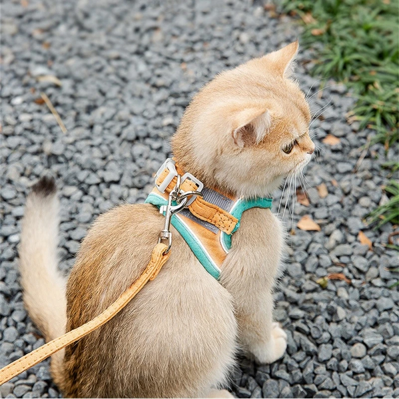 

Cat Harness Leash Set For Chihuahua Accessories Dog Cat Vest Pug Leashes Walking Tools Walk Out Cat Collars Lead Product