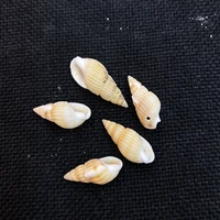 exquisite natural shell conch pendant 10 15mm mini charm jewelry fashion diy necklace earring bracelet wind chime accessories