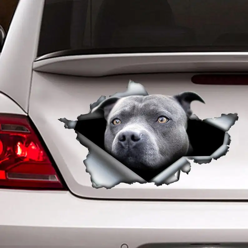 

Blue pitbull car decal , car decoration, car sticker , Blue pitbull sticker
