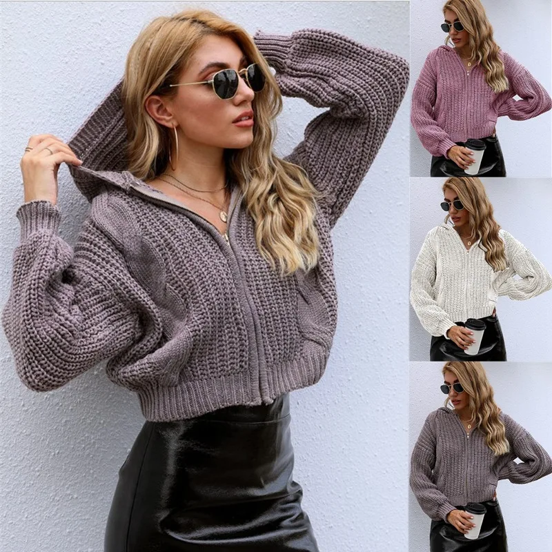 

New autumn and winter zipper hood loose fried dough twist long sleeve knitting sweater cardigan women