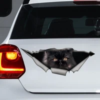 black persian cat car sticker cat car decal persian cat magnet