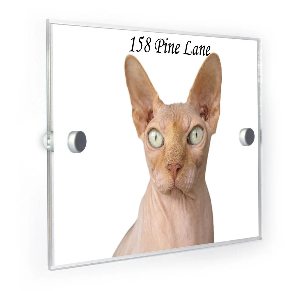 

Индивидуальный акриловый Спиннер, кошка, дом, номер, табличка, домашний адресный знак