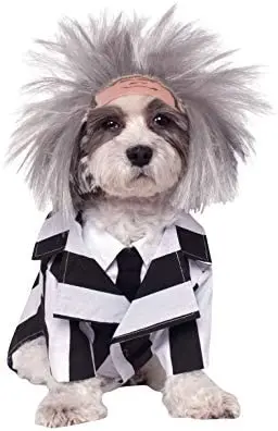 

Rubie's Beetlejuice Pet Costume, Medium