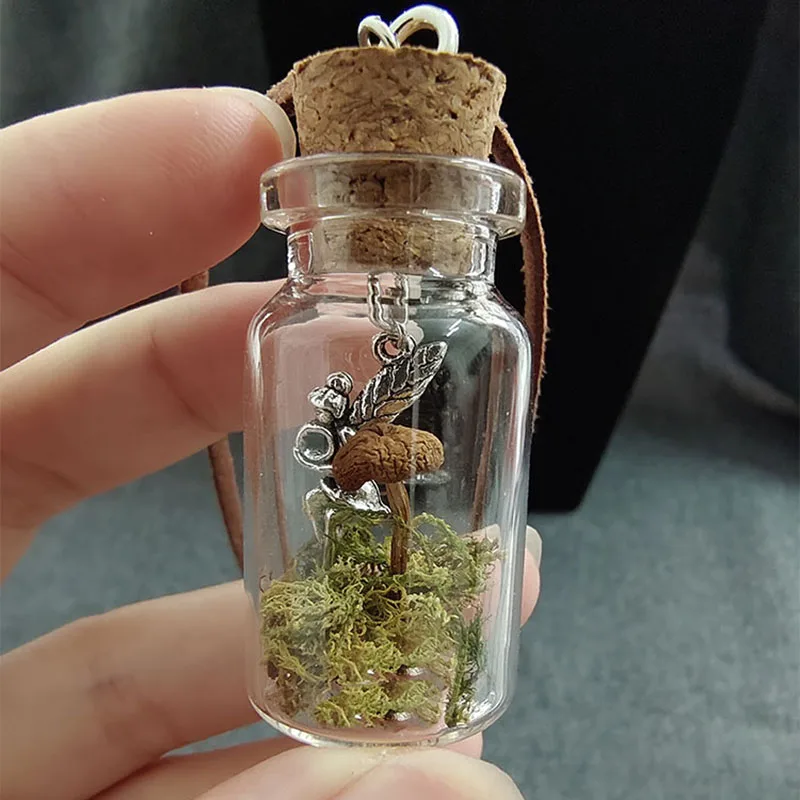 

Fairy Garden with real mushroom bottle necklace fairycore cottage goblin nature dried moss magical gift forest core necklaces