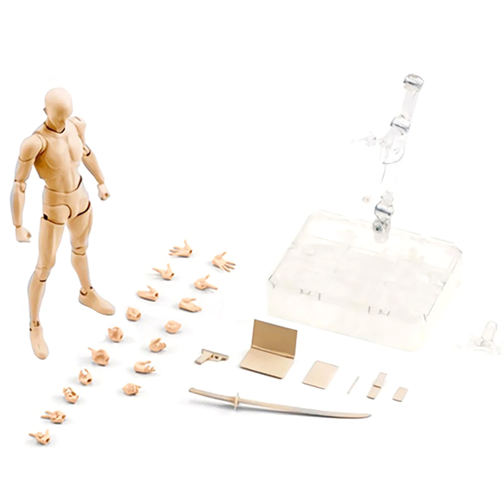 

Body Kun DX Set Body Kun And Body Chan Set PVC Action Figures Drawing Mannequin For Artists Model Drawing For SHF S H Figuarts