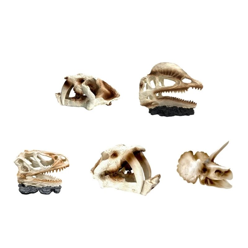 

Delicate Hallowed Cave Terrarium Hideouts Dinosaur Head Shape Aquarium Decors Drop Shipping