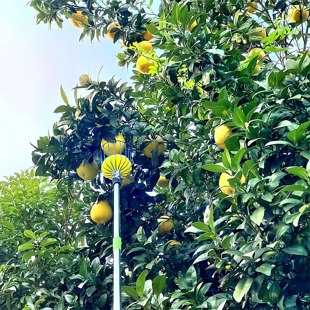 Телескопический стержень для сбора фруктов из углеродистой стали регулируемая