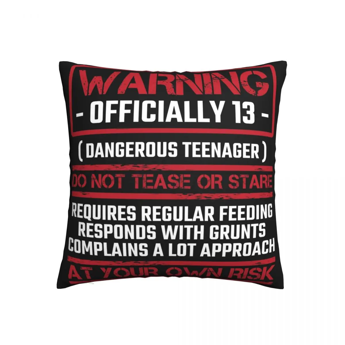 

Официально для 13-го дня рождения, Подростковая 13-летняя детская подушка, чехол, декоративная подушка, чехол, оптовая продажа