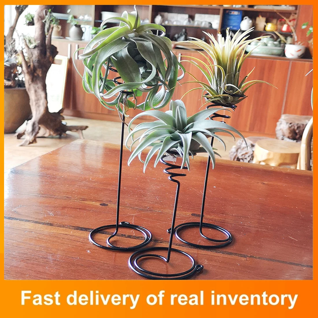 3 Sizes Air Plants Container Air Plant Holder Iron Flower Stand For Displaying Home Office Desktop Decoration