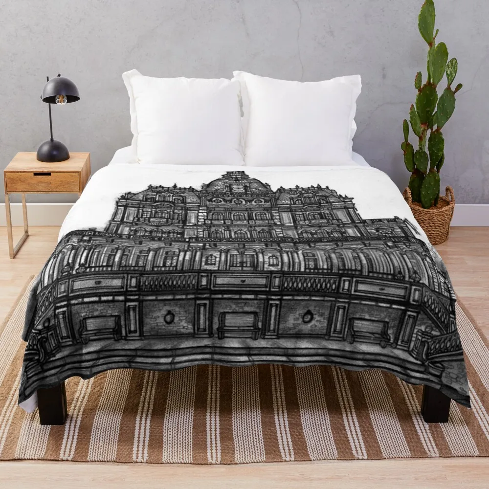 

Palaye Royale Throw Blanket large fluffy plaid cute blanket weighted blanket