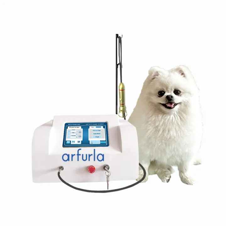 

Phlebology laser pet therapeutic lasers medical equipment therapy 810nm