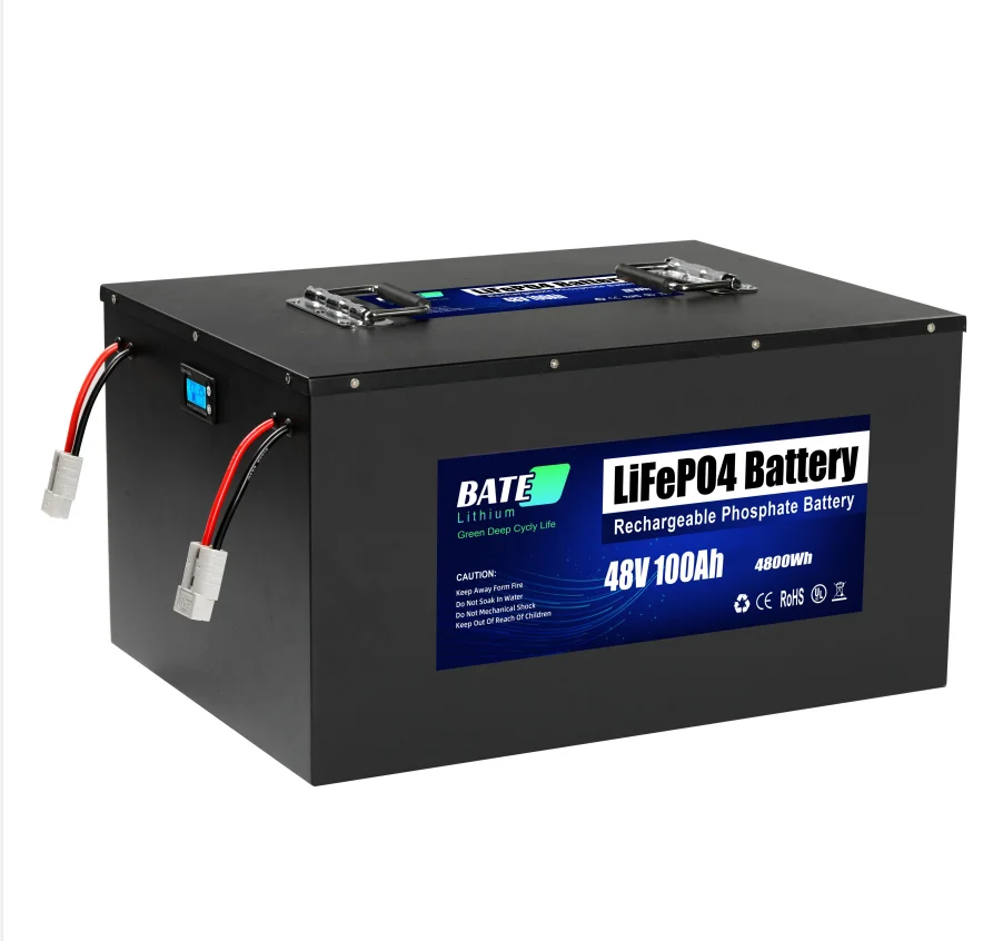 

Warehouse in Stock 48V 100Ah LiFePO4 Lithium Battery with USB Metal Case Battery