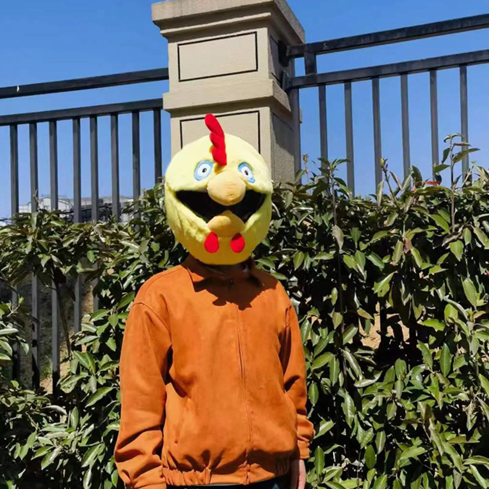 

Motorcycle Helmet Cover Funny Helmet Protective Cover Fun Rides and Gift