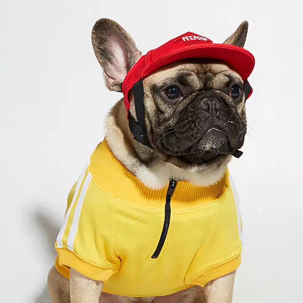 

Толстовки для собак, одежда для собак, флисовый хлопковый свитшот, верхняя одежда для средних и больших собак, пуловер с бульдогом, свитшот, ...