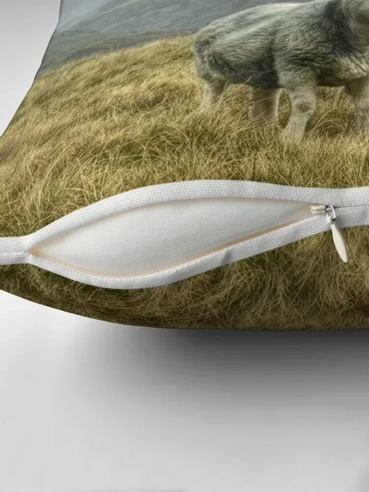 Декоративная подушка с изображением Лейкленда предметы домашнего декора