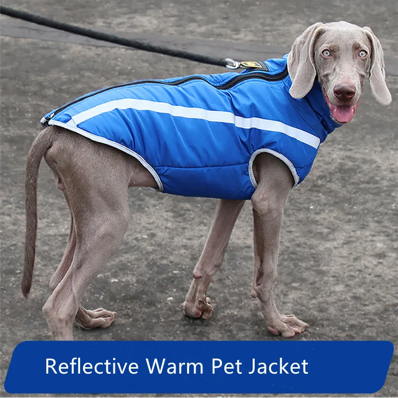 

Одежда для собак Модное зимнее пальто для собак, куртка для домашних животных, светоотражающая теплая водонепроницаемая ветрозащитная оде...