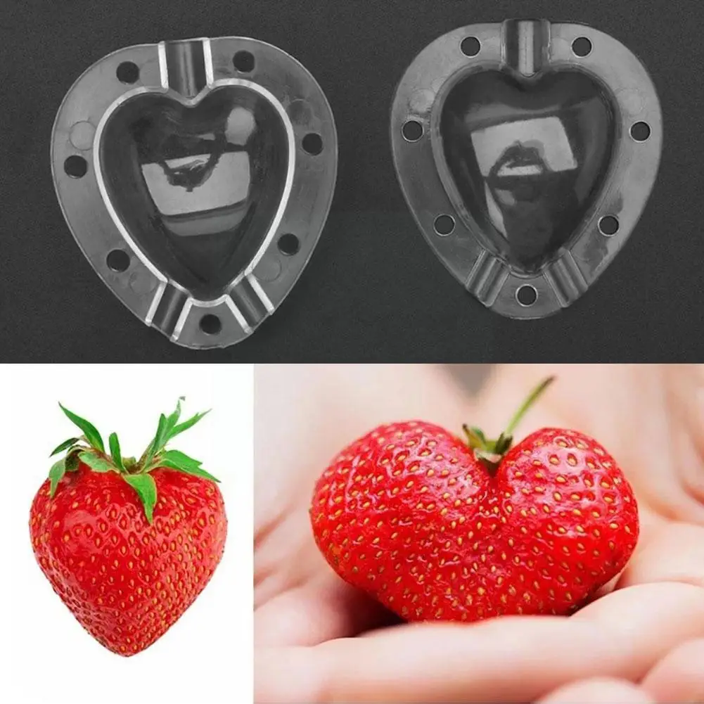 Fruit Strawberry Shaping Mold Cucumber Growth Forming Mould Tool Heart Buddha-shaped For Garden Orchard Fruit Grow Supplies U7g5 images - 6