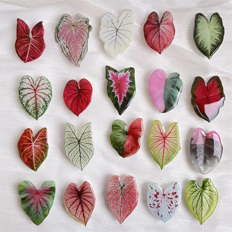

Pink Princess Philodendron Phone Grip Rare Plant Mobile Phones Case Accessories Philodendron Marble Griptok Single Node Leaf