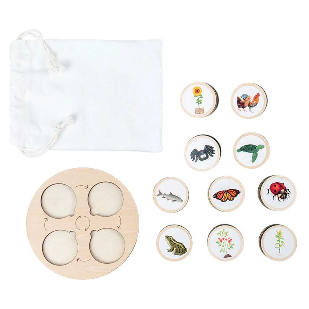 

Life Cycle Toys Wooden Educational Figures Animals Growth Models Biological
