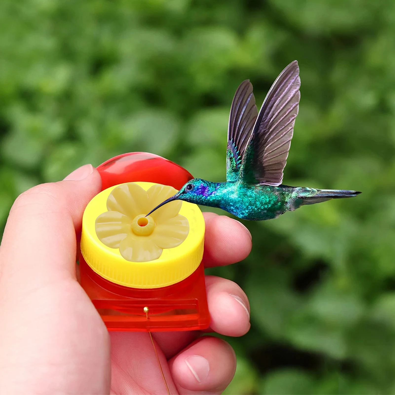 

Plastics Bird Water Feeder Bottle Hanging Hummingbird Feeder Garden Outdoor Plastic Flower Iron Hook Bird Feeder Outdoor 1set
