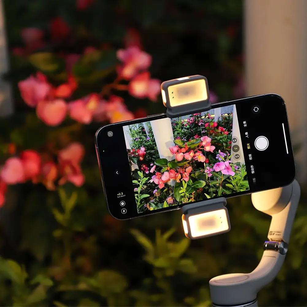 

Mini Phone Clamp Fill Light With Charging Box 2-way Adjustable Brightness 3-color Photography Lamp Compatible For Dji Om5/4/4 Se