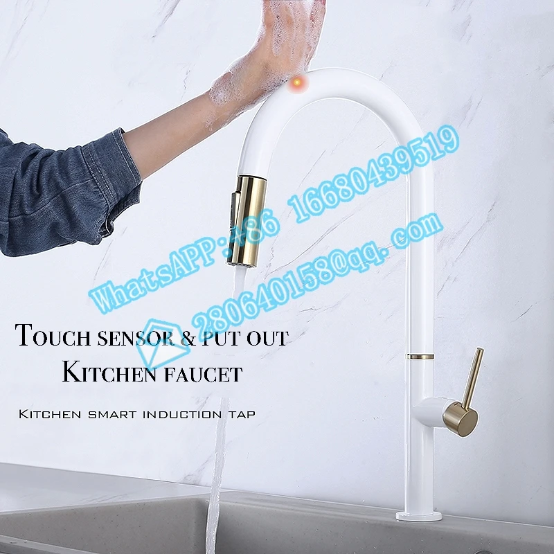 Рисунок 2 - Кухонный Смеситель WH + GD Touch Sense