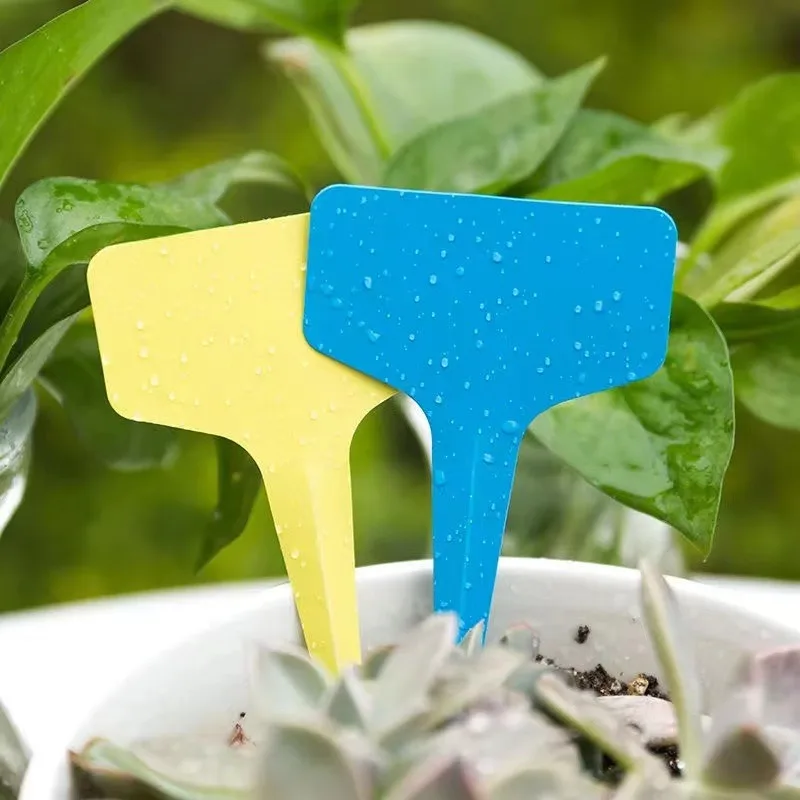 Семена semillas на заказ овощной цветок в горшке этикетка идентификационная