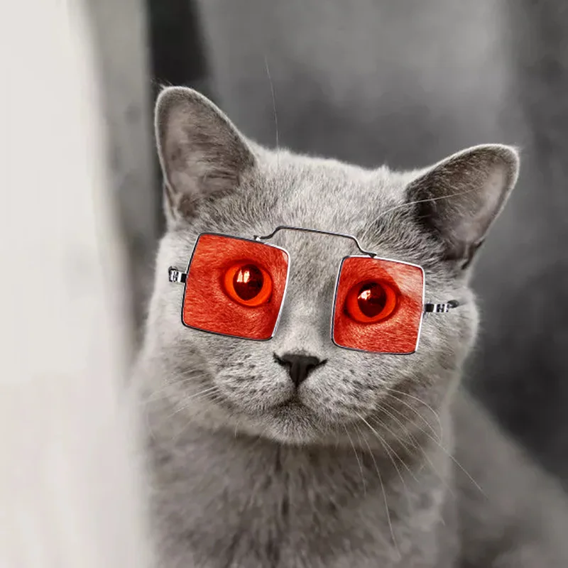 

Cute Retro Square Cat Sunglasses Pet Photo Props Reflection Glasses Glasses Cat Puppy Pet Dog Cat Accessories