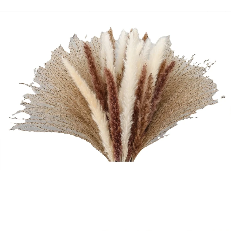 

75Pcs Natural Dried Pampas Grass Fluffy Stems Dry Pompous Bouquets For Flower Arrangements Boho Wedding Home Decor