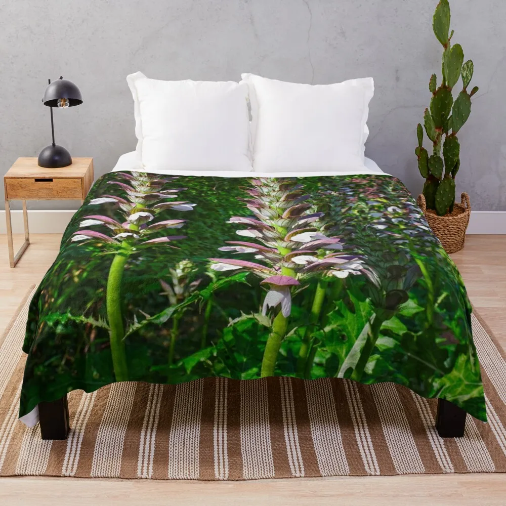 Плед Acanthus Spinosus Bear's Breeches Роскошные флярные роскошные утолщенные одеяла