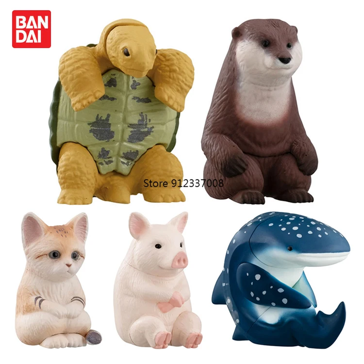 

Bandai Gashapon Model Collectible Ornaments Genuine Capsule Toy Gacha Figurine Cat Shark Turtle Pig Wait For