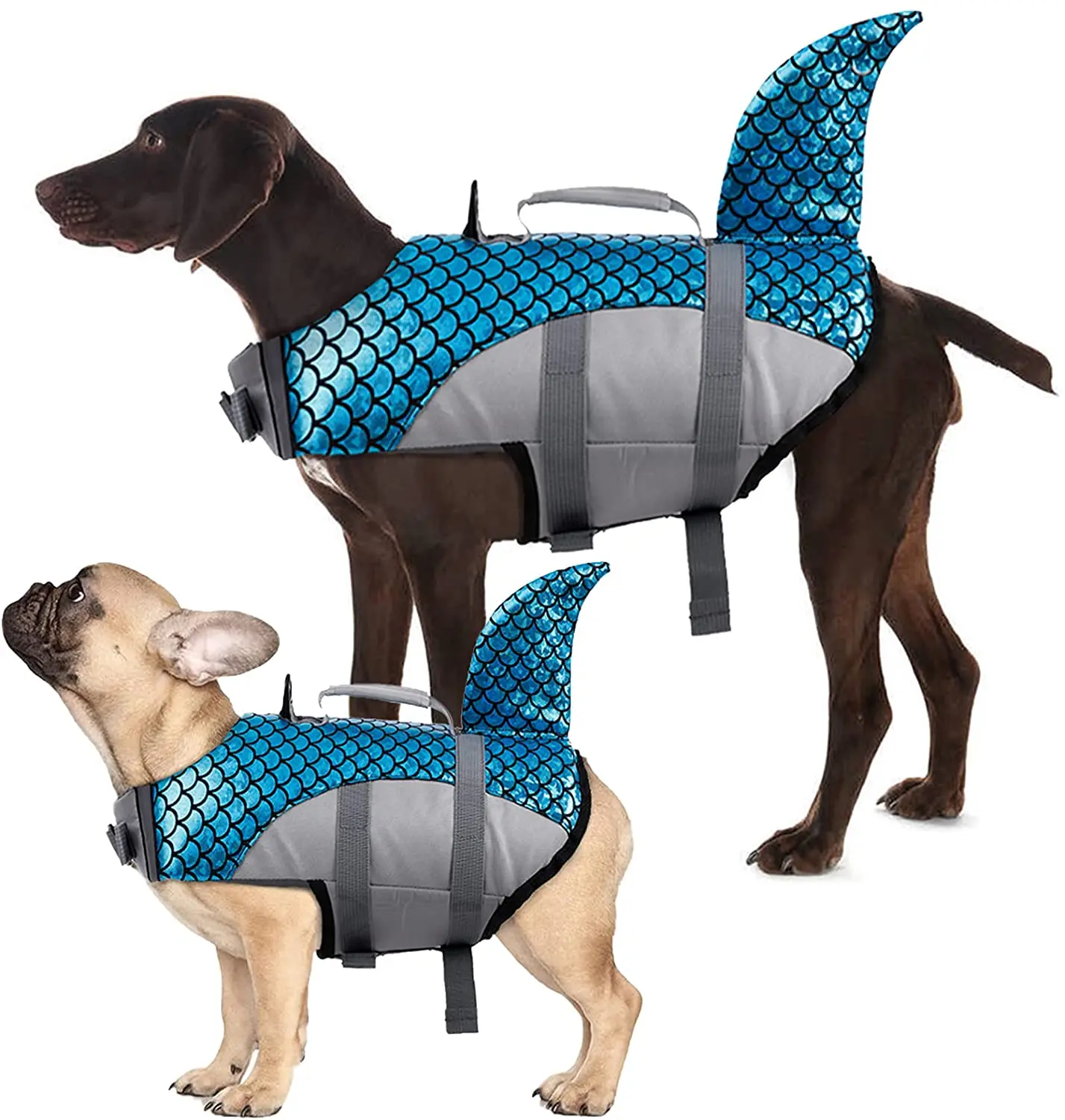 How Do I Measure My Dog For A Life Jacket