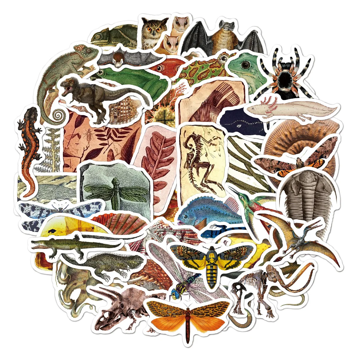 

50 Pcs/Pack Cool Retro Creature Stickers Dinosaur Motorcycle Phone Car Sticker Decal Classic Skateboard Laptop