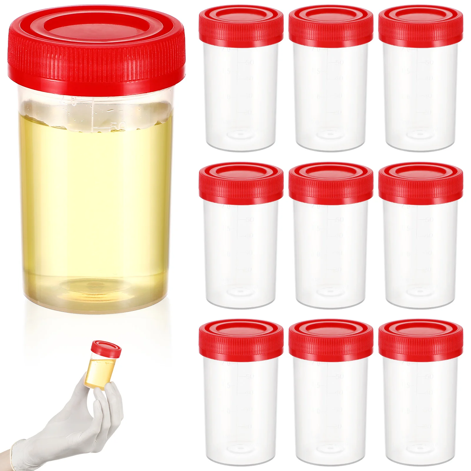

10 Pcs Mini Containers Sampling Cup Urine Sample Bottles Test Lid Travel